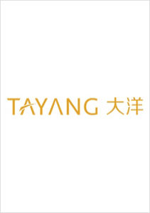 大洋集團控股有限公司